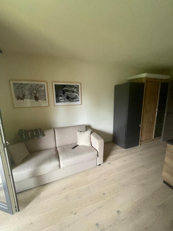 Apartman Pod Jasanem Hojsova Straz Brcalnik Apartment Železná Ruda Exterior foto