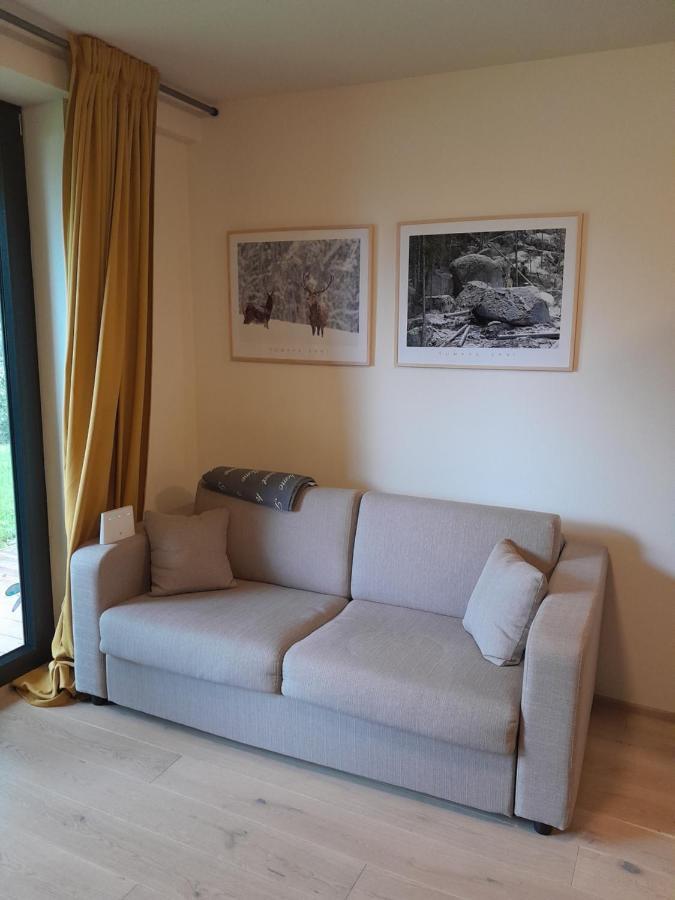 Apartman Pod Jasanem Hojsova Straz Brcalnik Apartment Železná Ruda Exterior foto