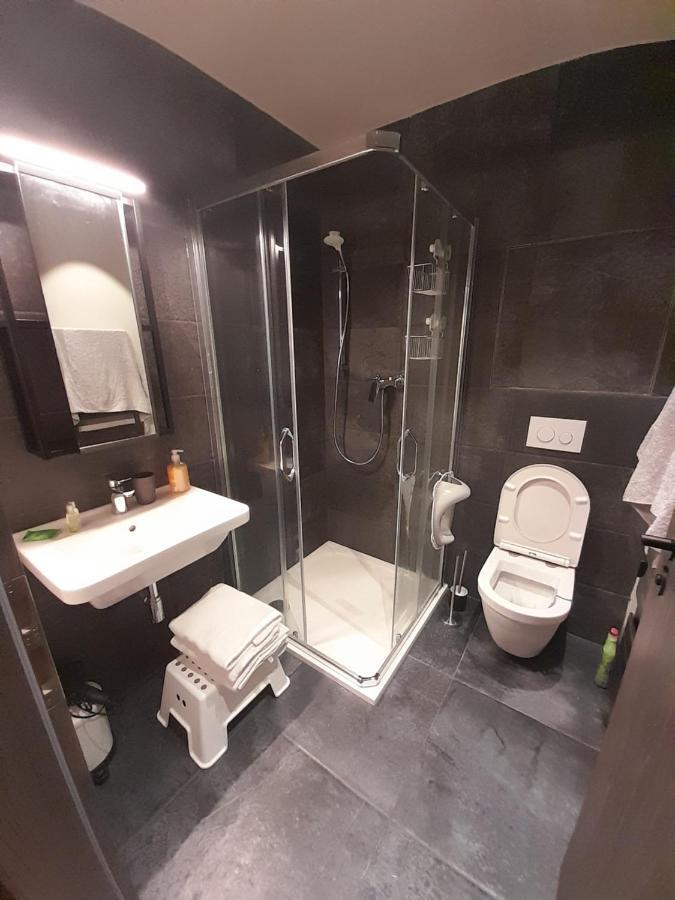 Apartman Pod Jasanem Hojsova Straz Brcalnik Apartment Železná Ruda Exterior foto