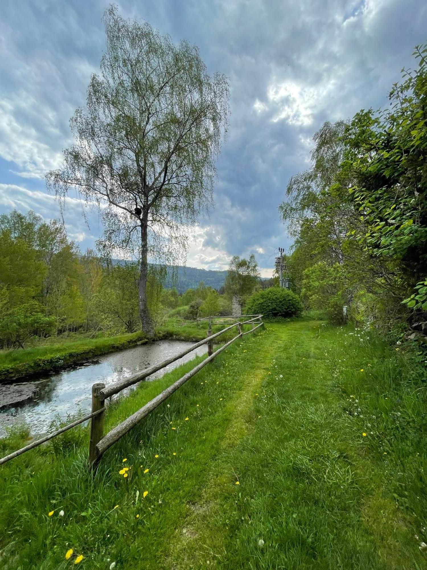Apartman Pod Jasanem Hojsova Straz Brcalnik Apartment Železná Ruda Exterior foto
